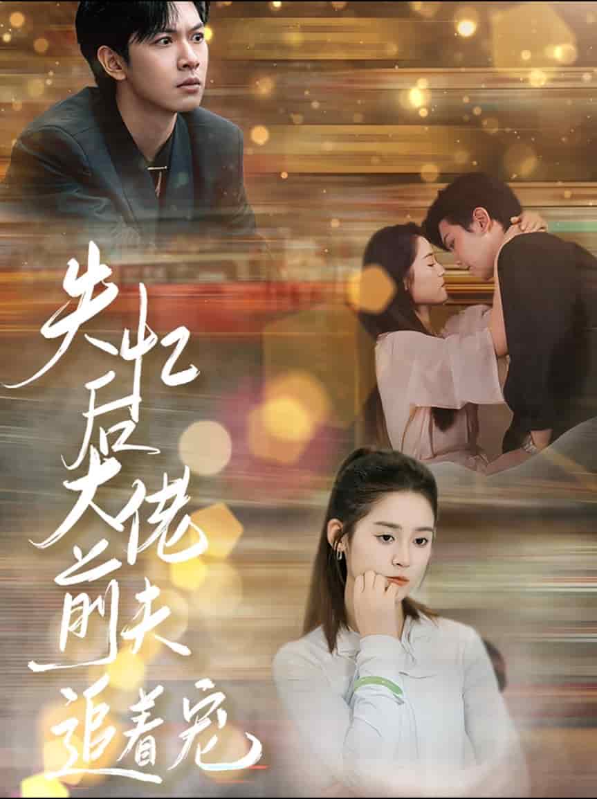 失忆后大佬前夫追着宠全集