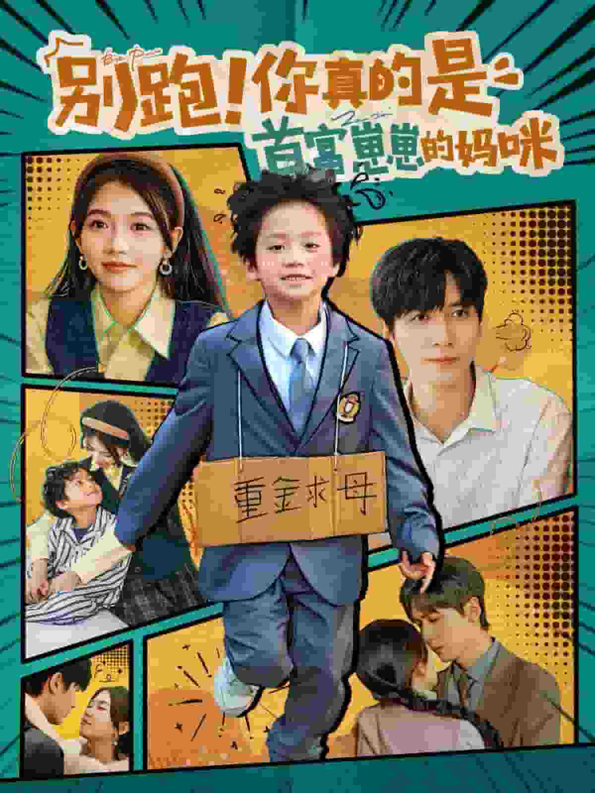 别跑你真的是首富崽崽的妈咪全集