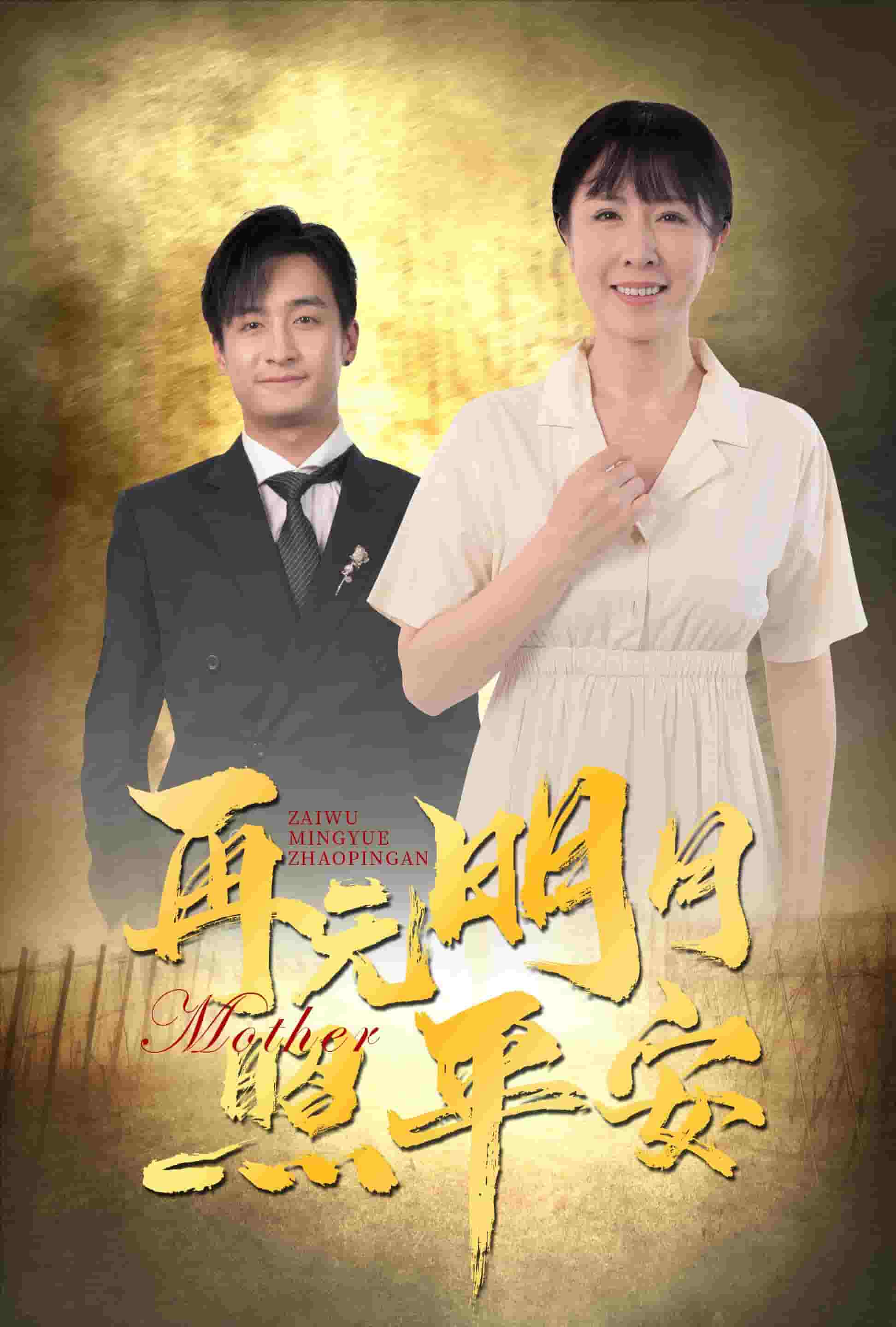 再无明月照平安全集