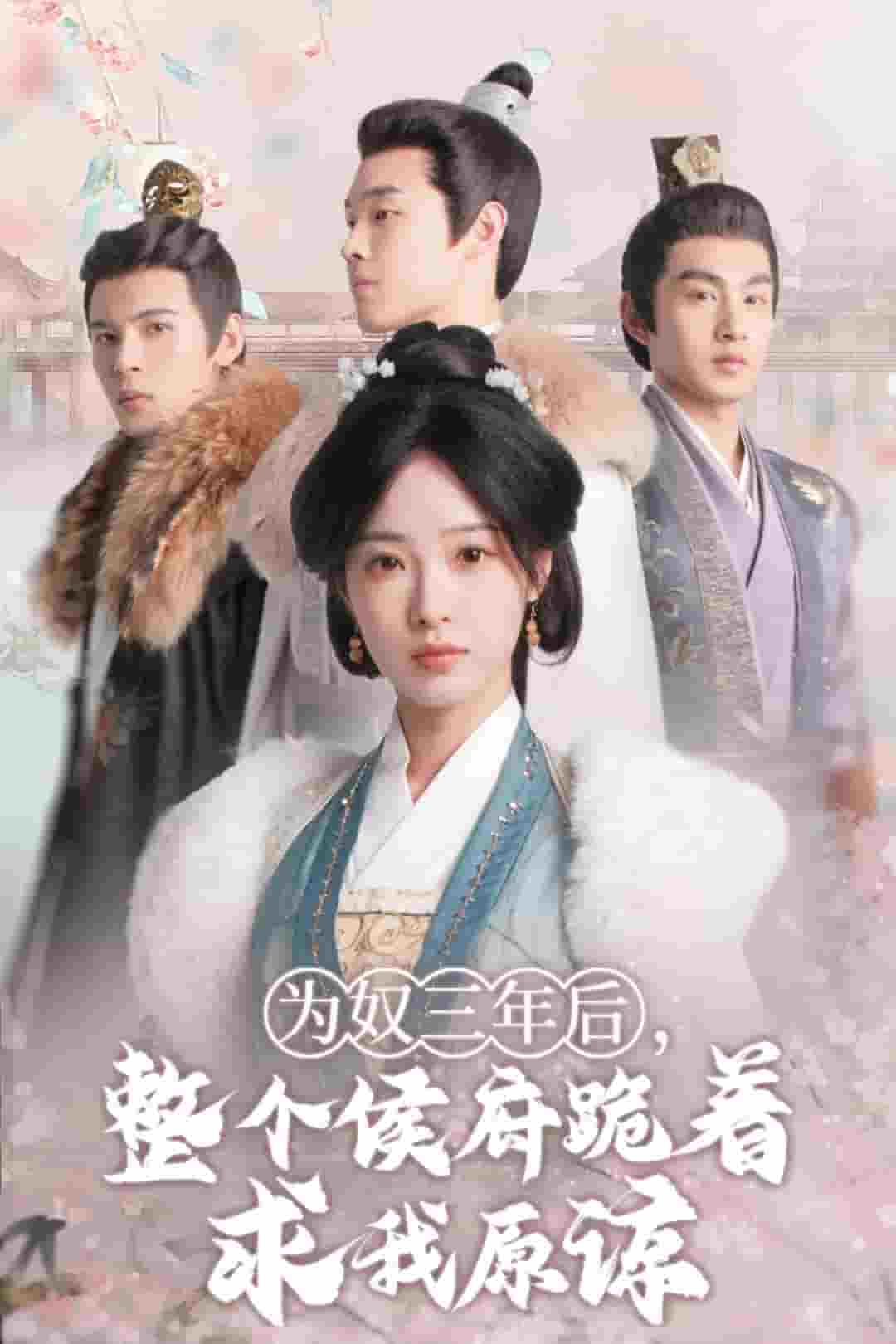 为奴三年后，整个侯府跪着求我原谅全集