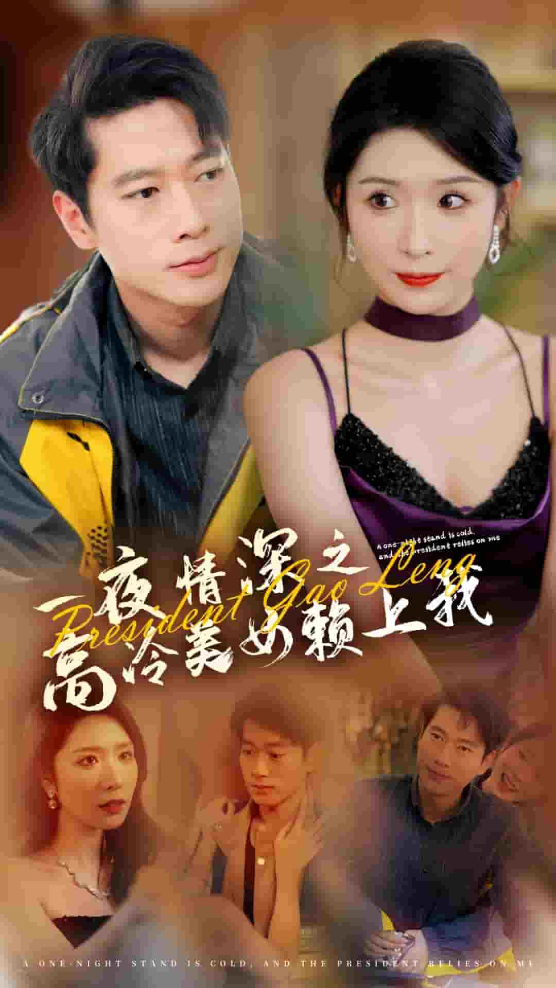 一夜情深之高冷美女赖上我全集