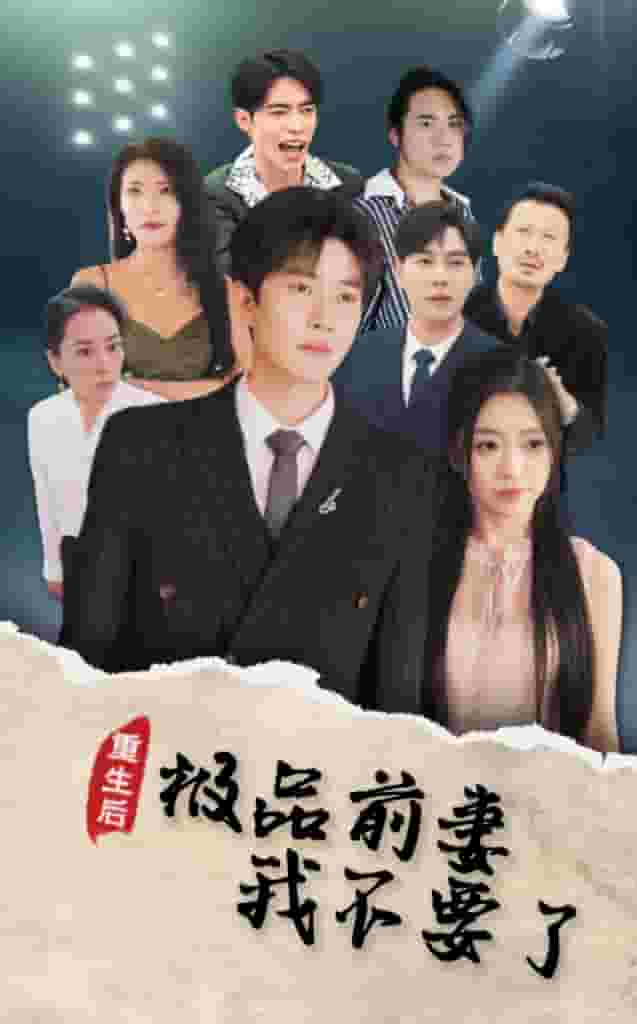 重生后极品前妻我不要了全集