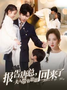 报告唐总夫人带着崽崽回来了全集