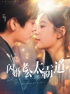 闪婚老公太霸道全集