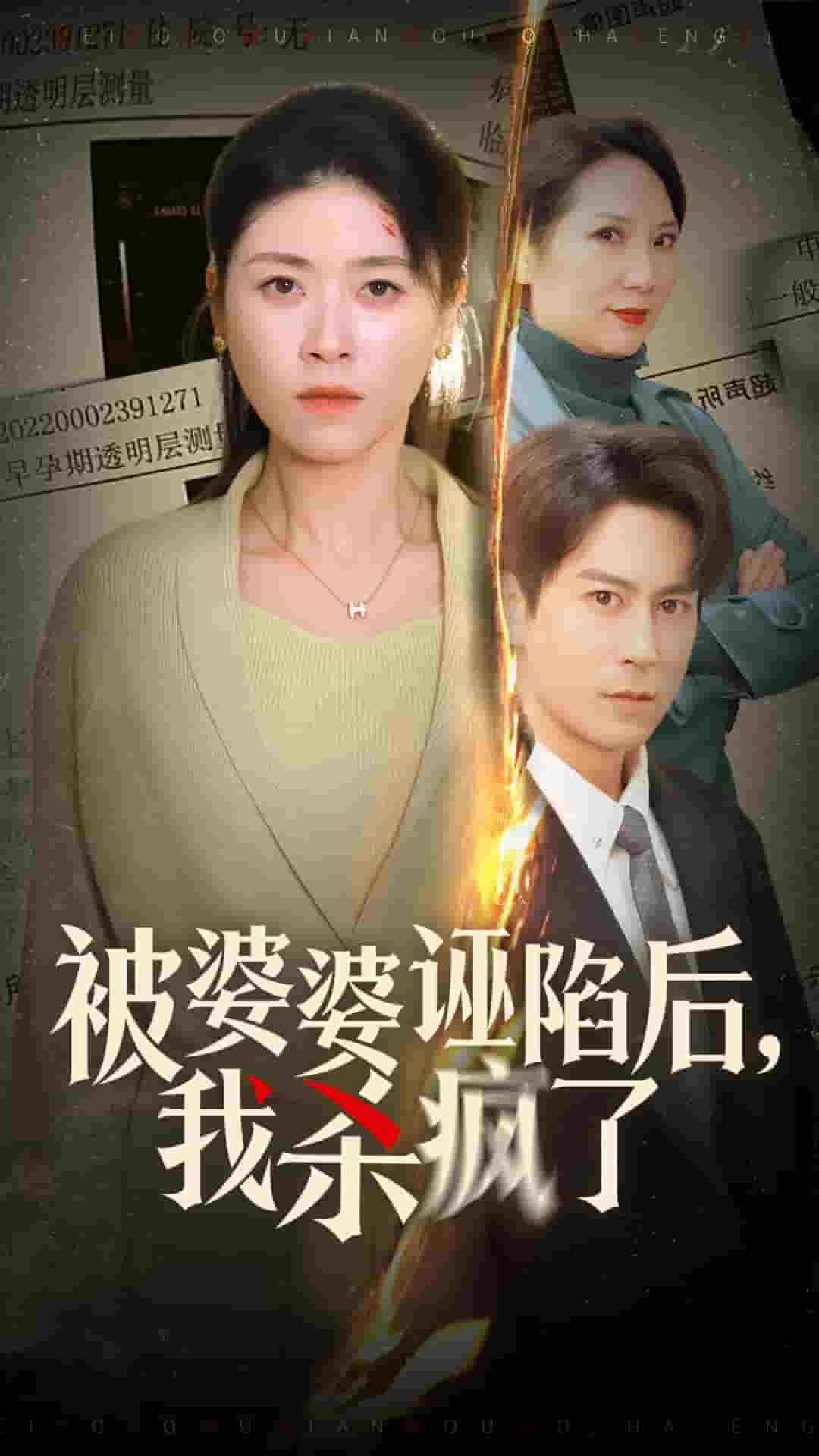 被婆婆诬陷后我杀疯了全集