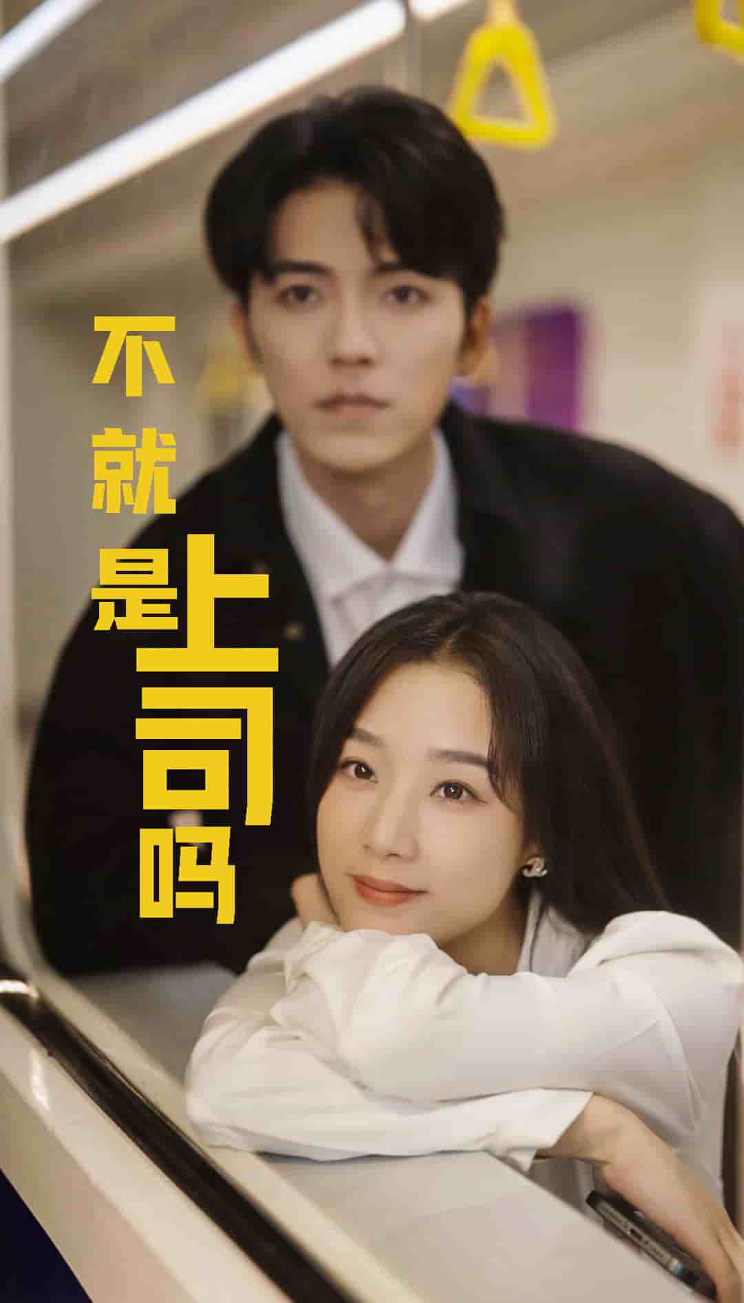 不就是上司吗全集