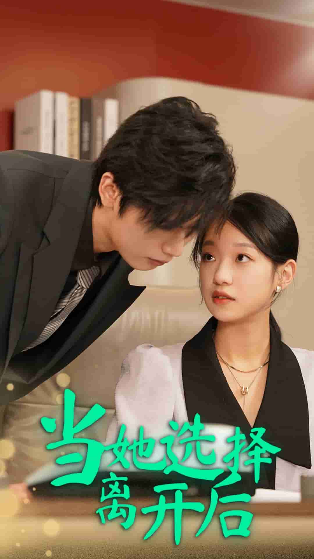 当她选择离开后全集