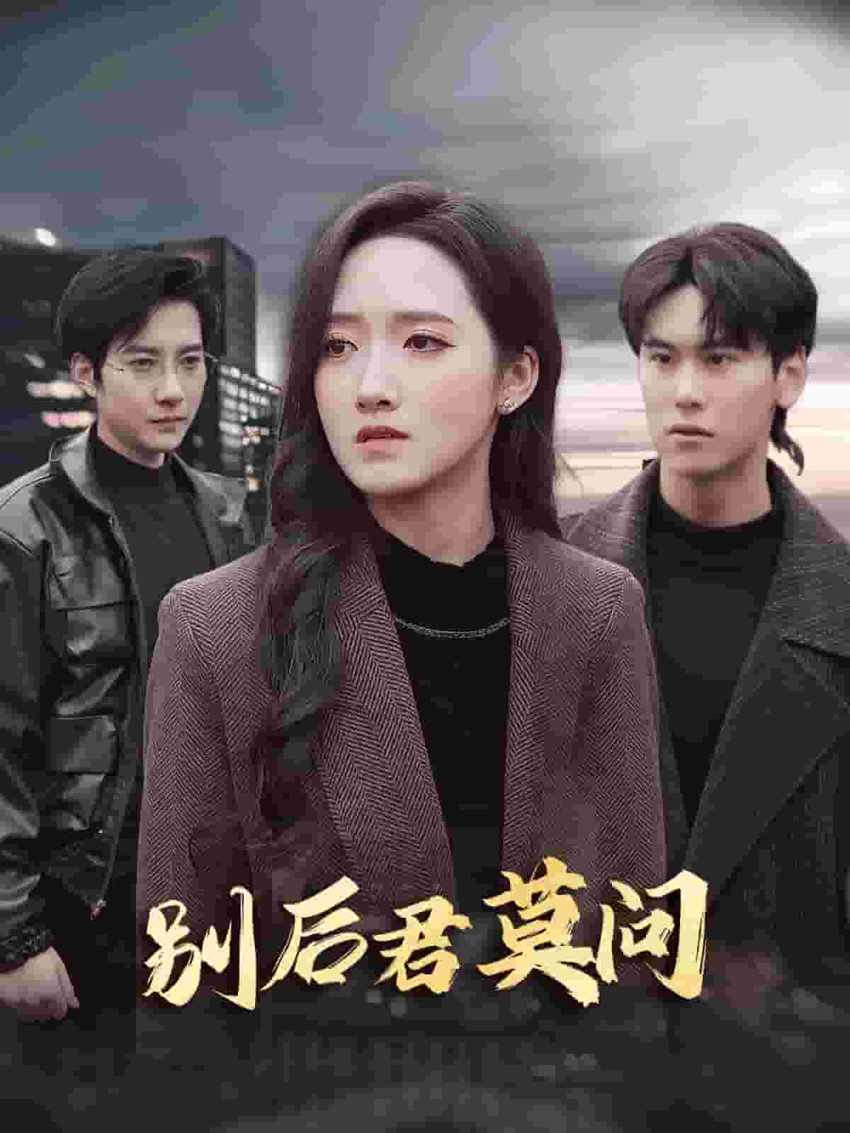 别后悠悠君莫问全集