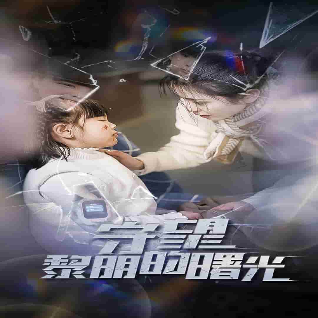 守望黎明的曙光全集