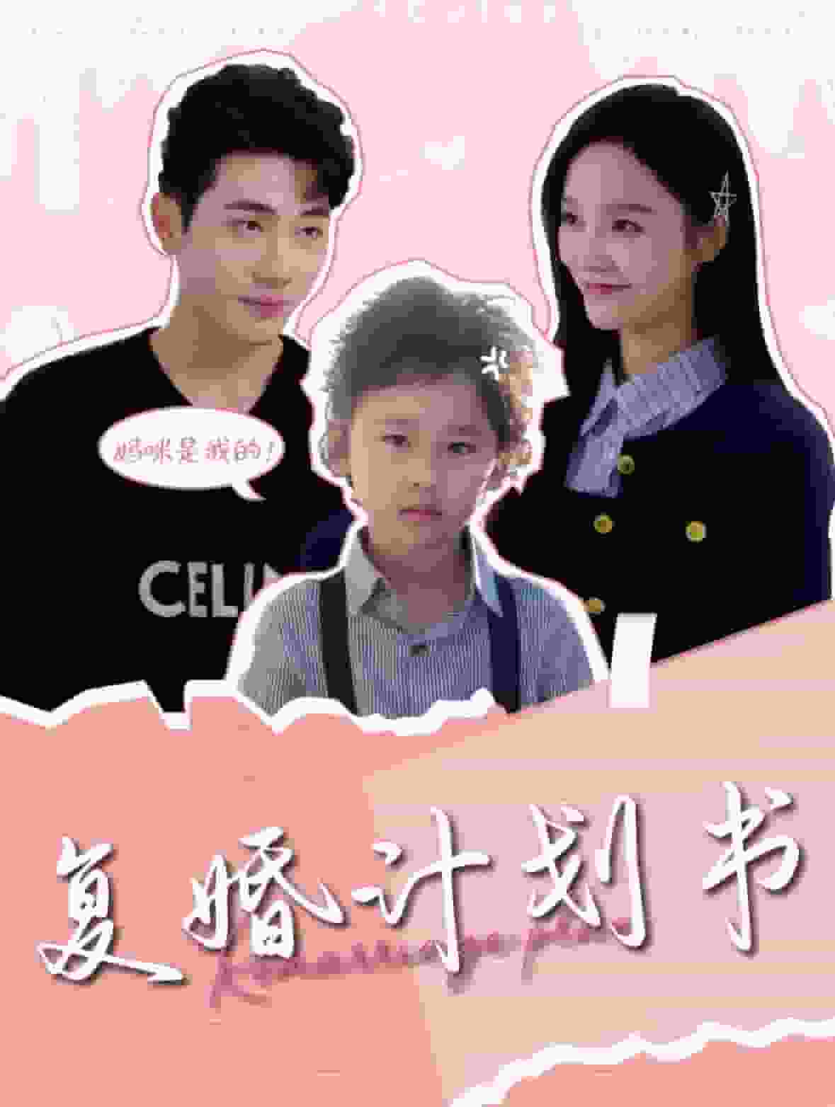 复婚计划书全集