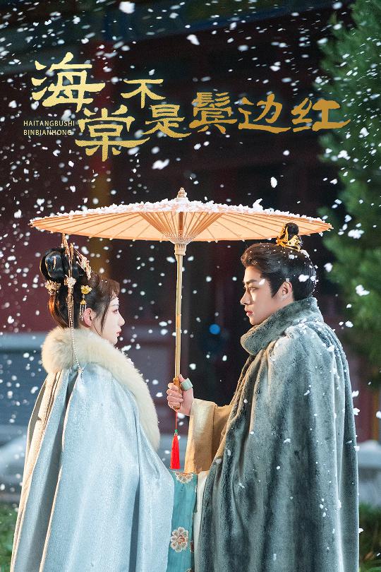 海棠不是鬓边红全集