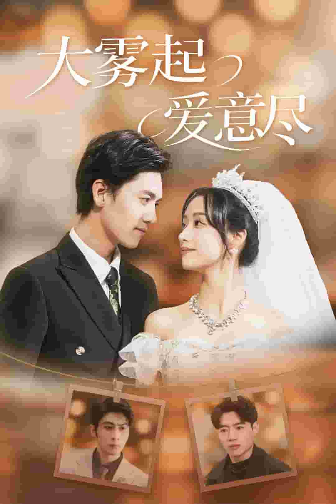 大雾起爱意尽全集