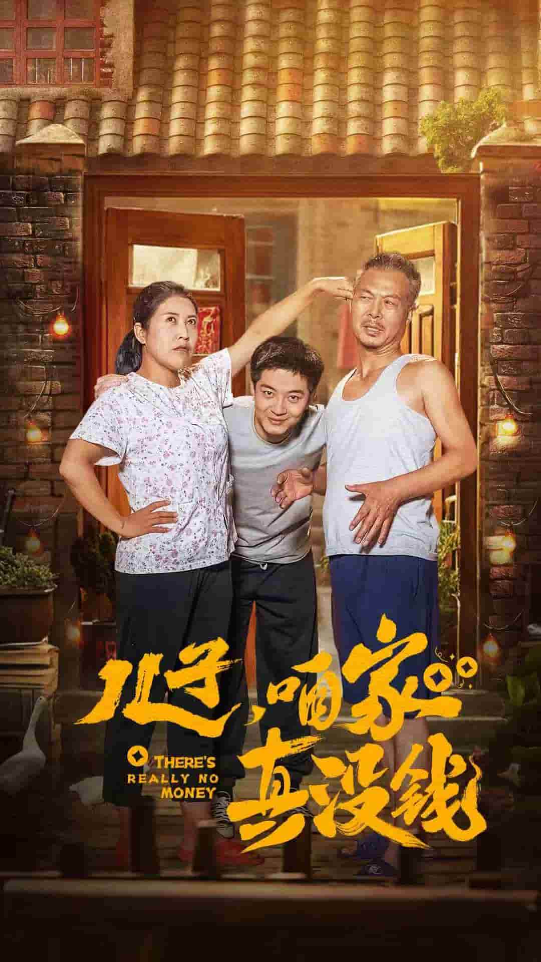 儿子咱家真没钱全集