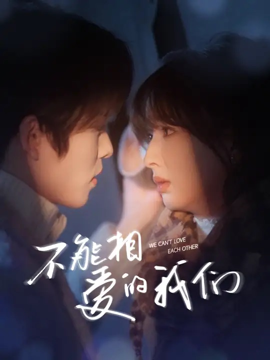 不能相爱的我们全集