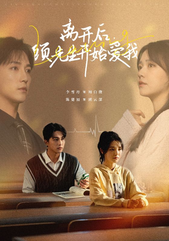 离开后顾先生开始爱我全集