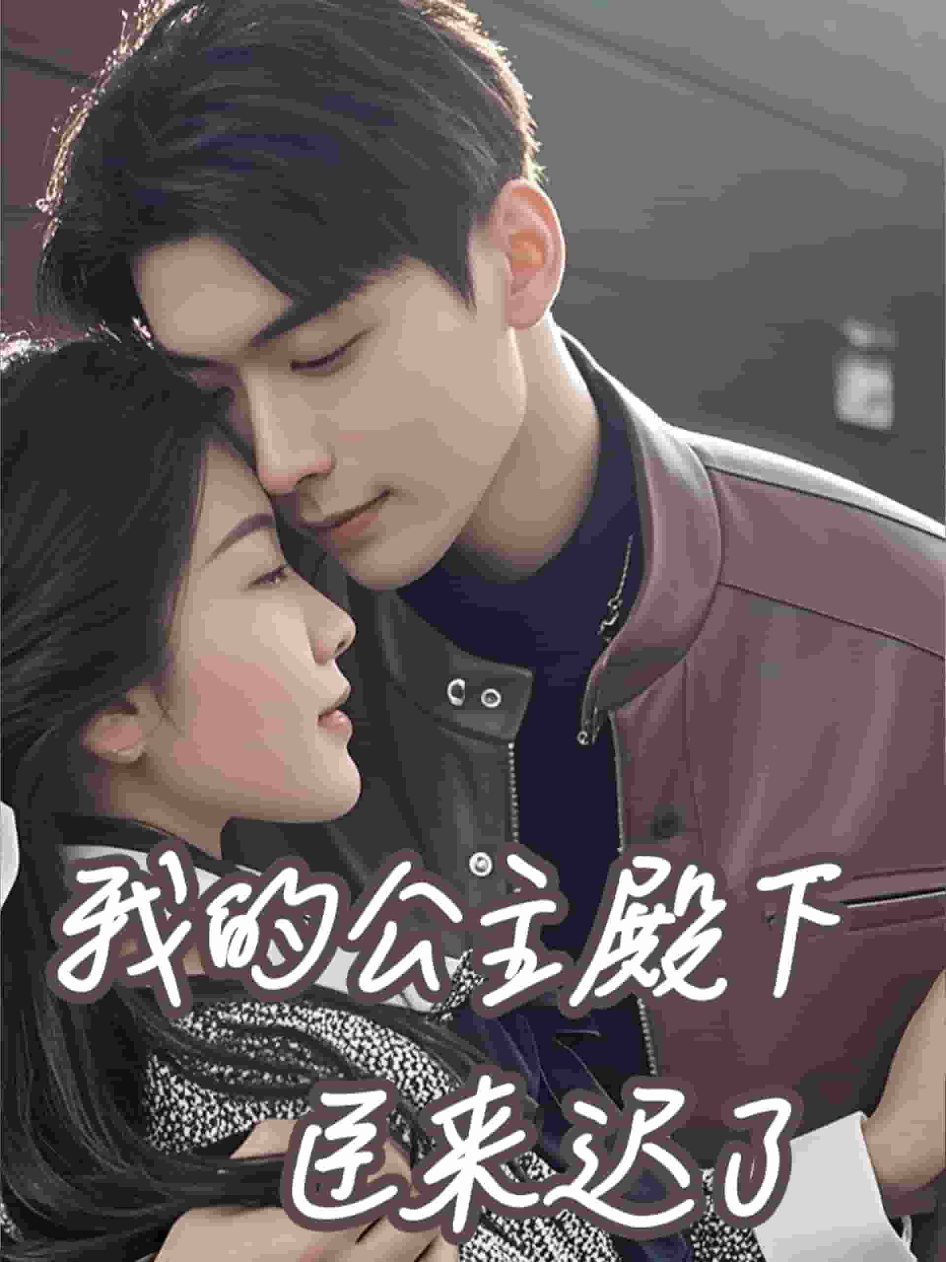 我的公主殿下臣来迟了全集