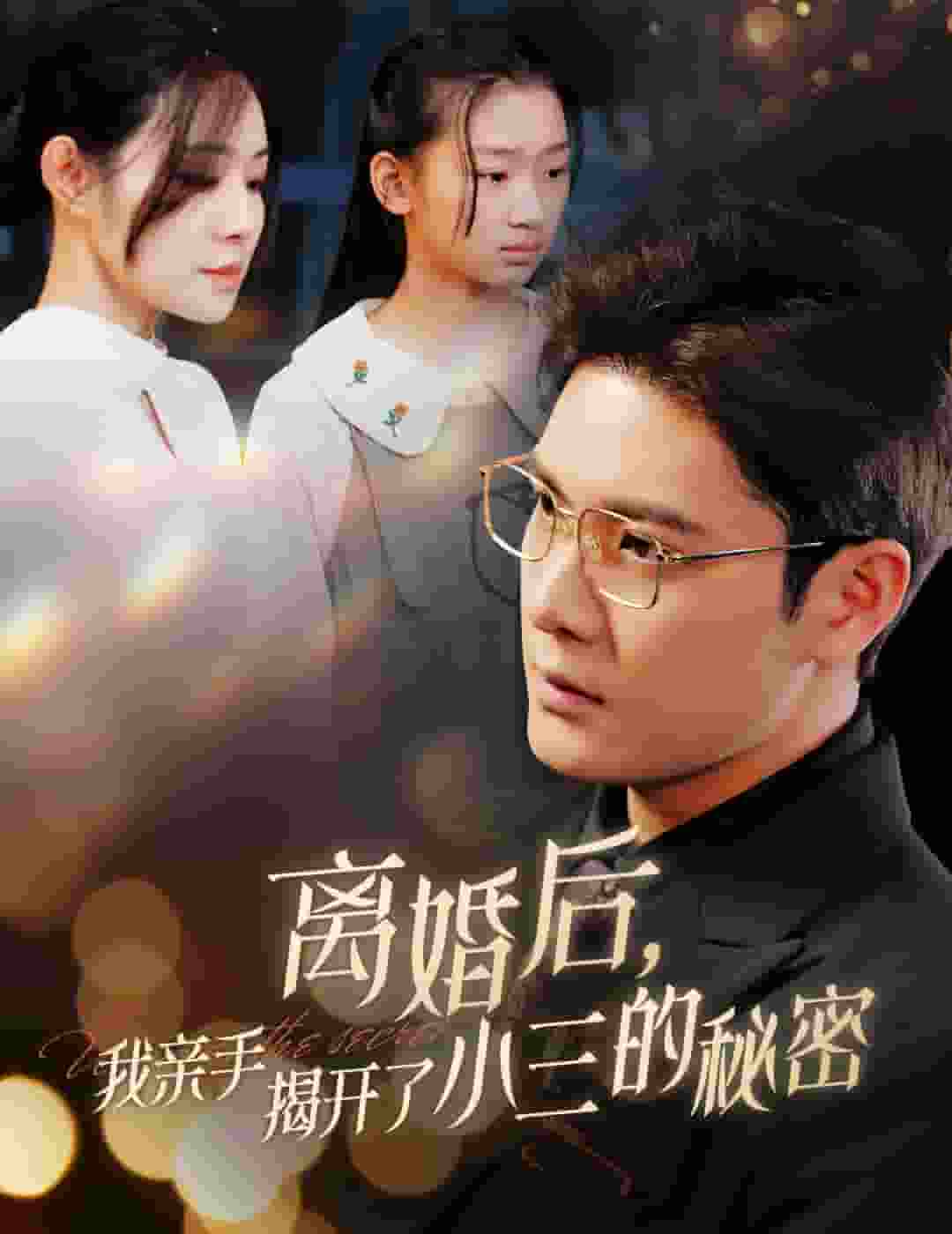 离婚后我亲手揭开了小三的秘密全集