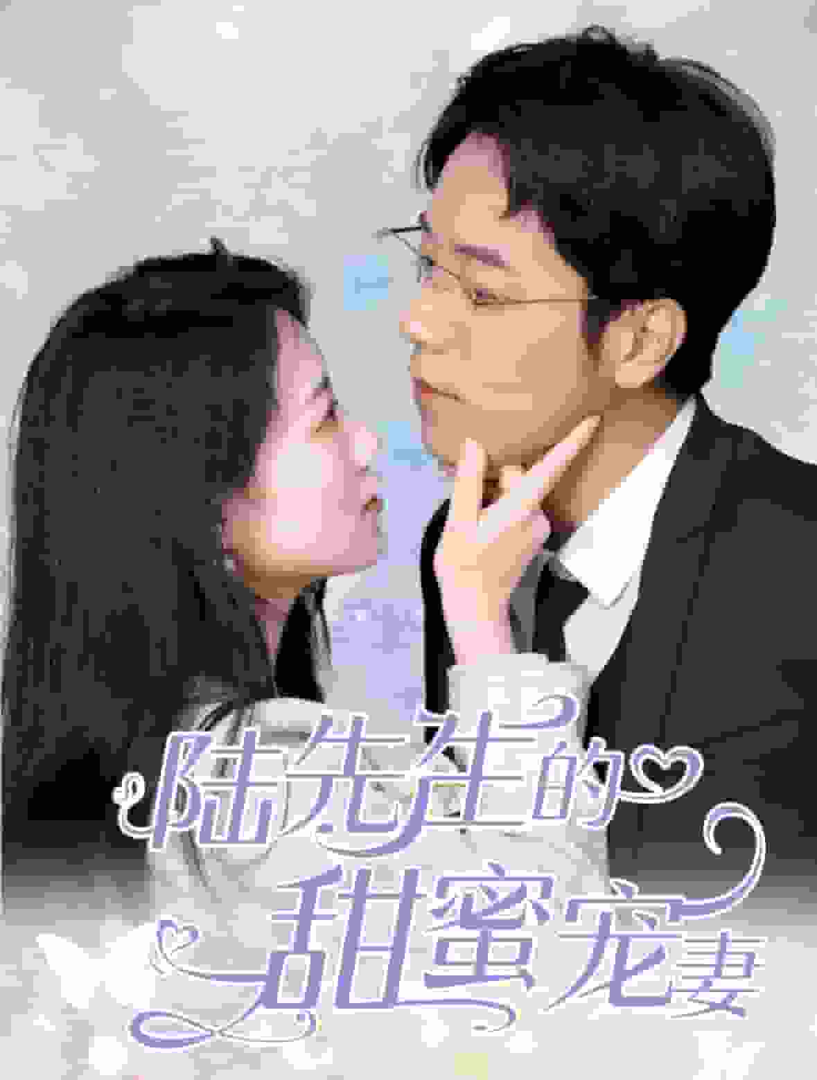 陆先生的甜蜜宠妻全集