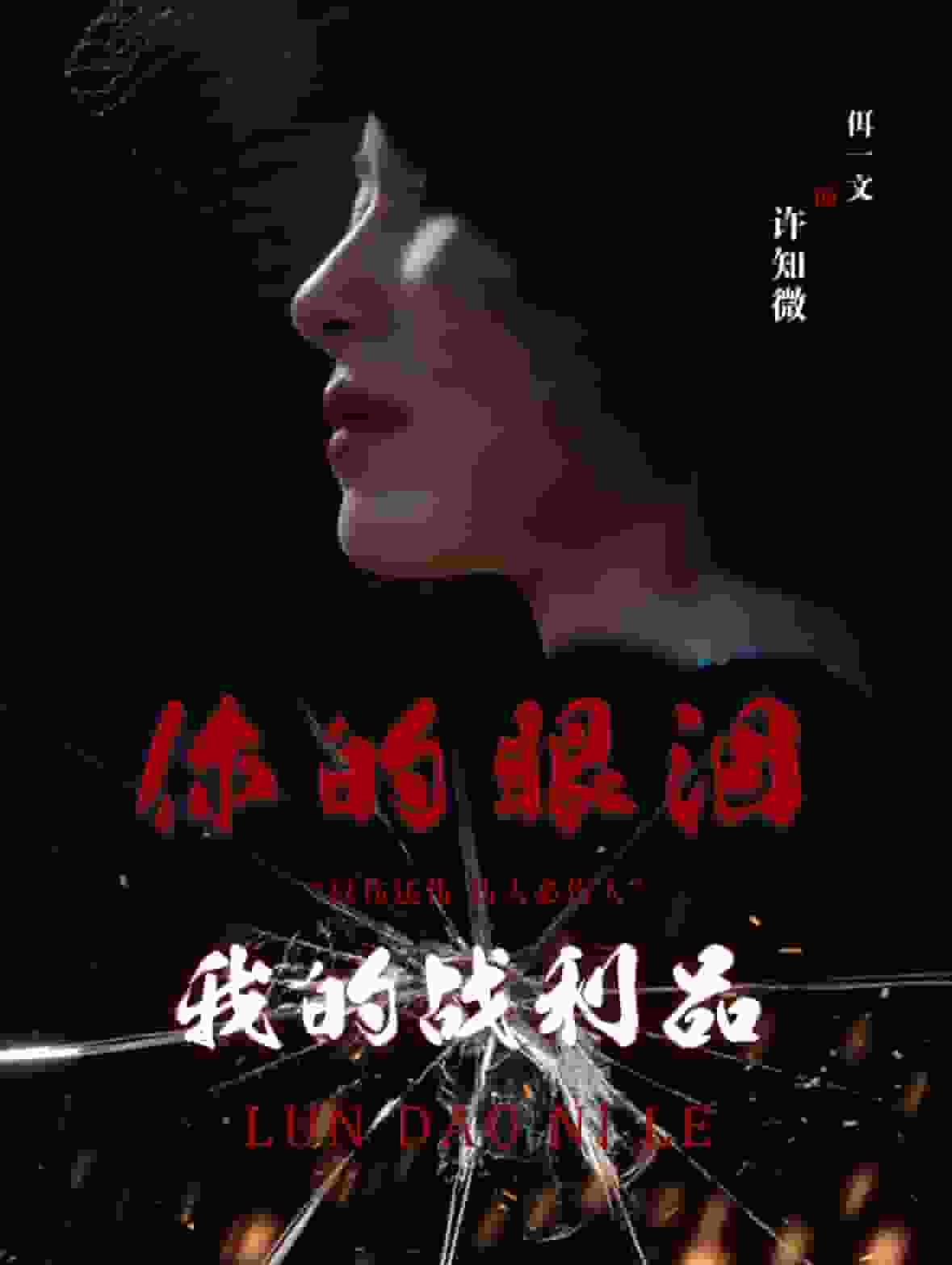 你的眼泪我的战利品全集