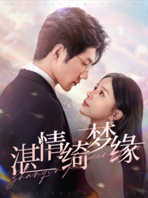 湛情琦梦缘全集