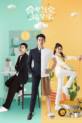 命中注定稀罕你全集
