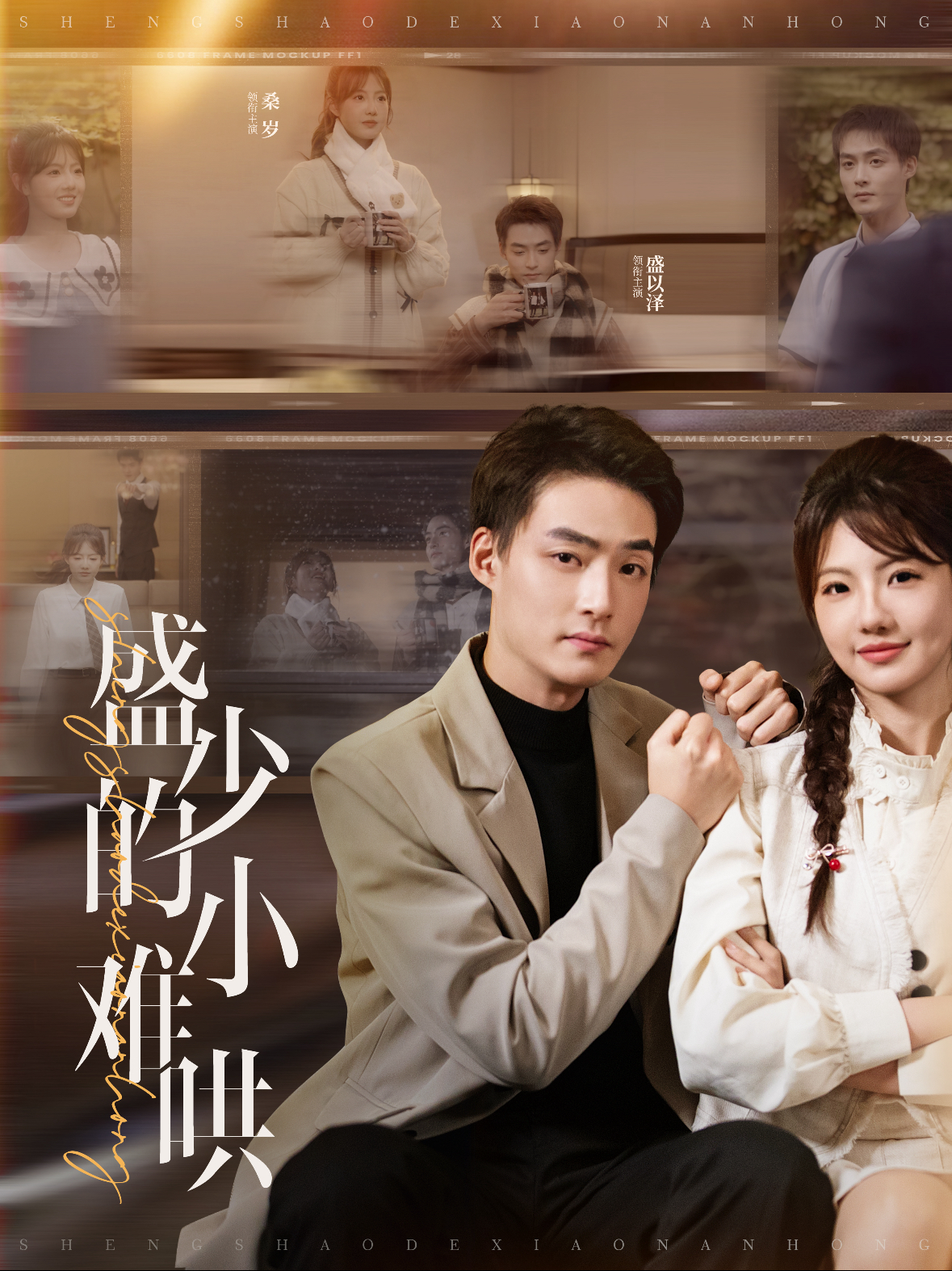 盛少的小难哄全集