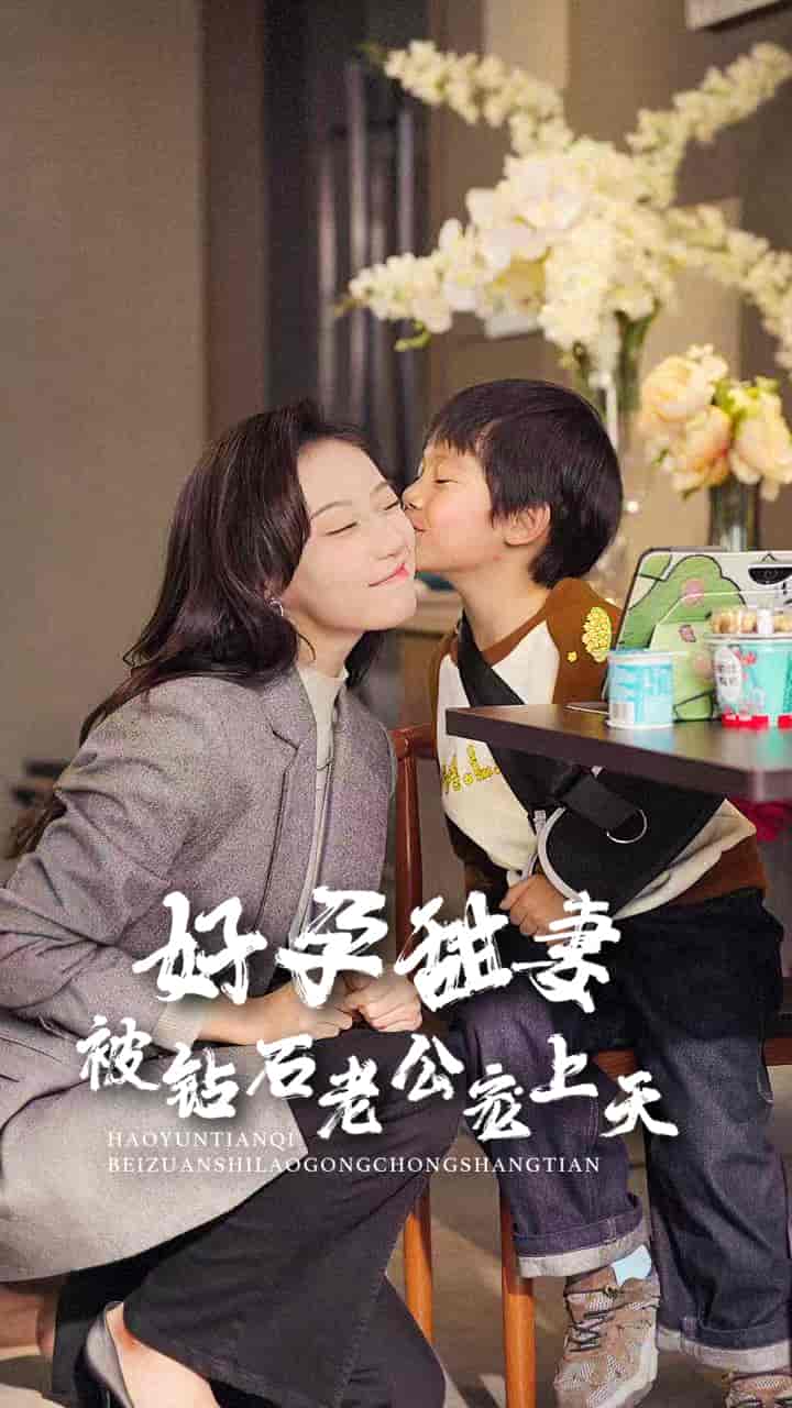 好孕甜妻被钻石老公宠上天全集