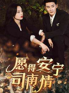 愿得安宁司南情全集