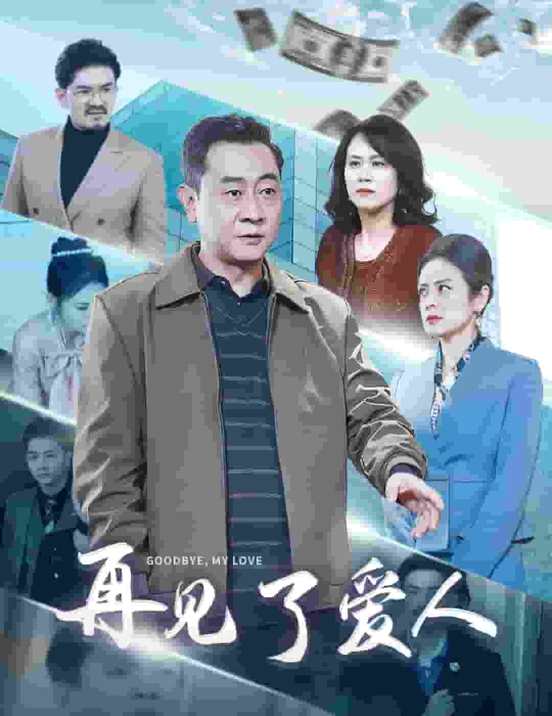 再见了爱人全集