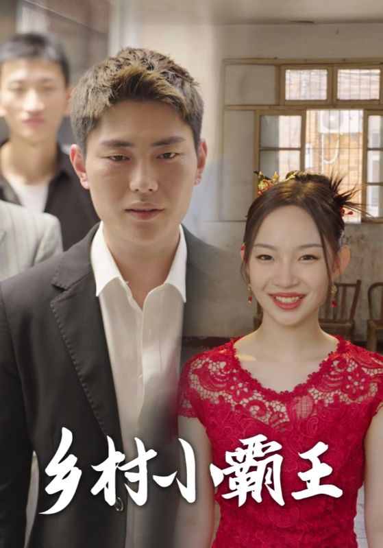 乡村小霸王全集