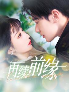 再续前缘全集