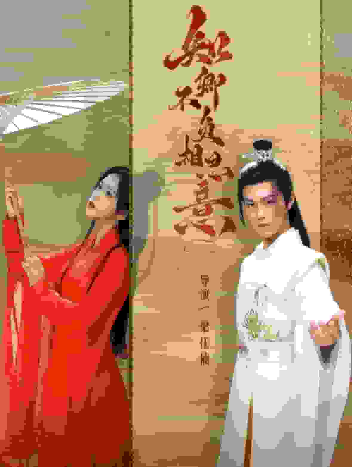 知卿不负相思意全集