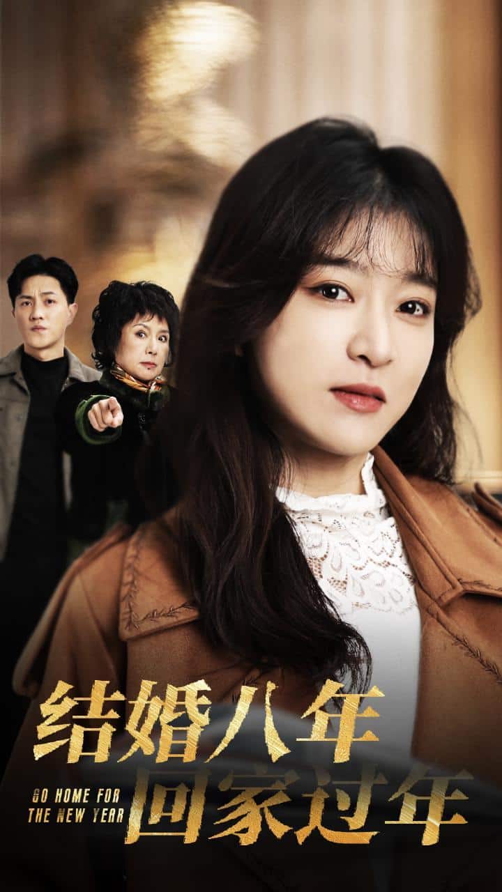 结婚八年回家过年全集