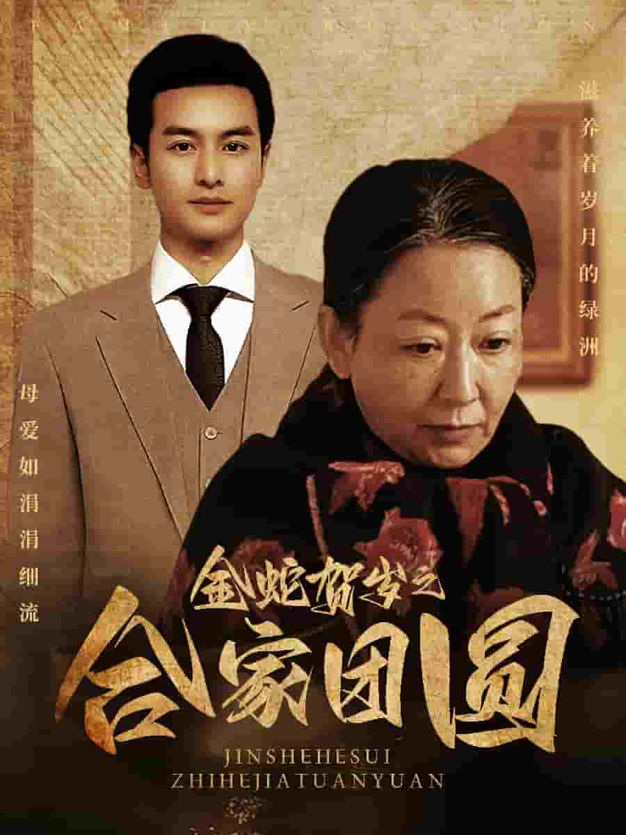 金蛇贺岁之合家团圆全集