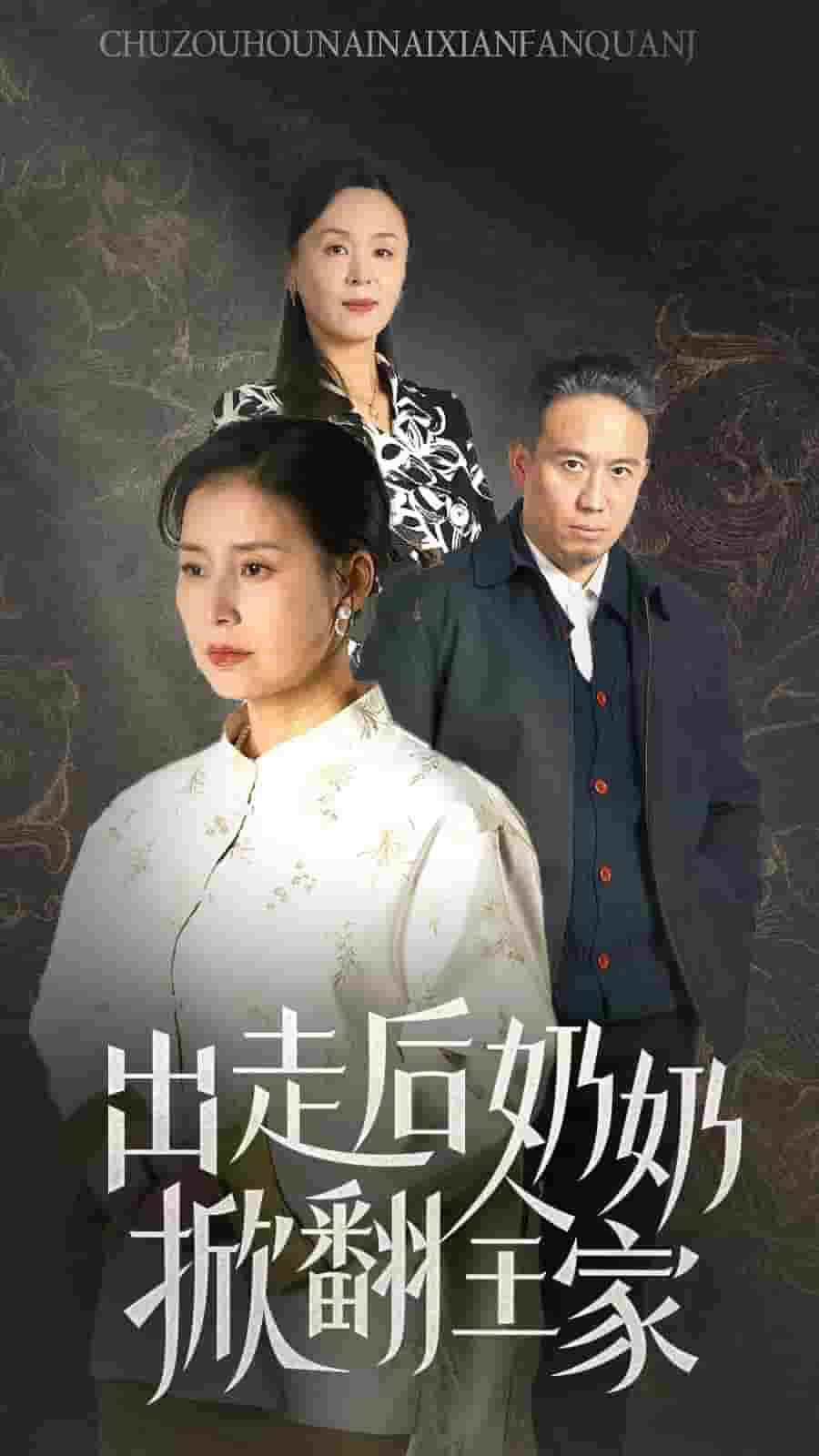 出走后奶奶掀翻全家全集