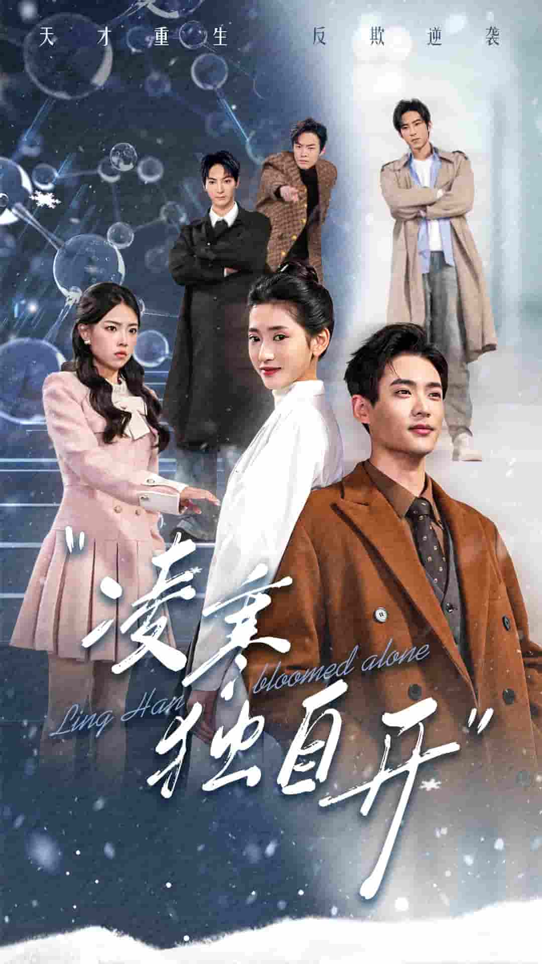 凌寒独自开全集