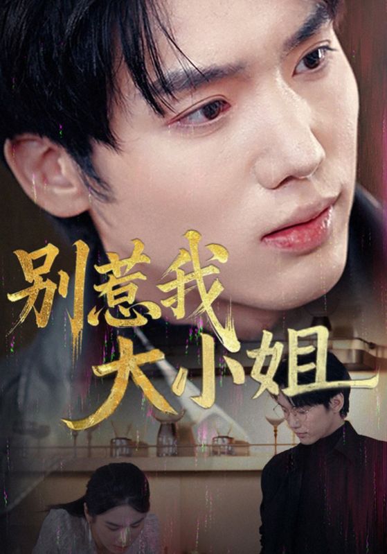 别惹我大小姐全集