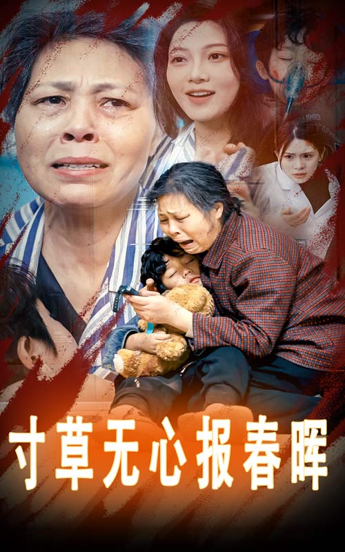 寸草无心报春晖全集