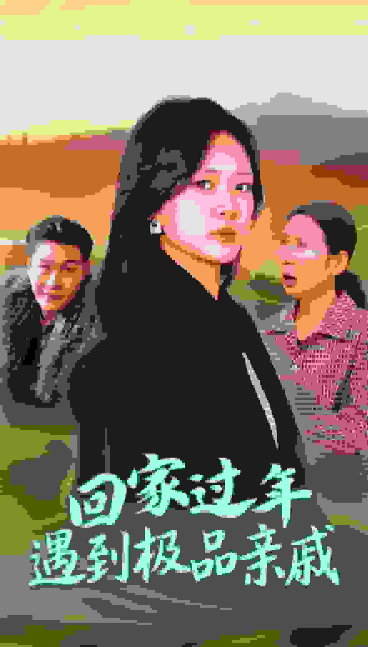 回家过年遇到极品亲戚全集