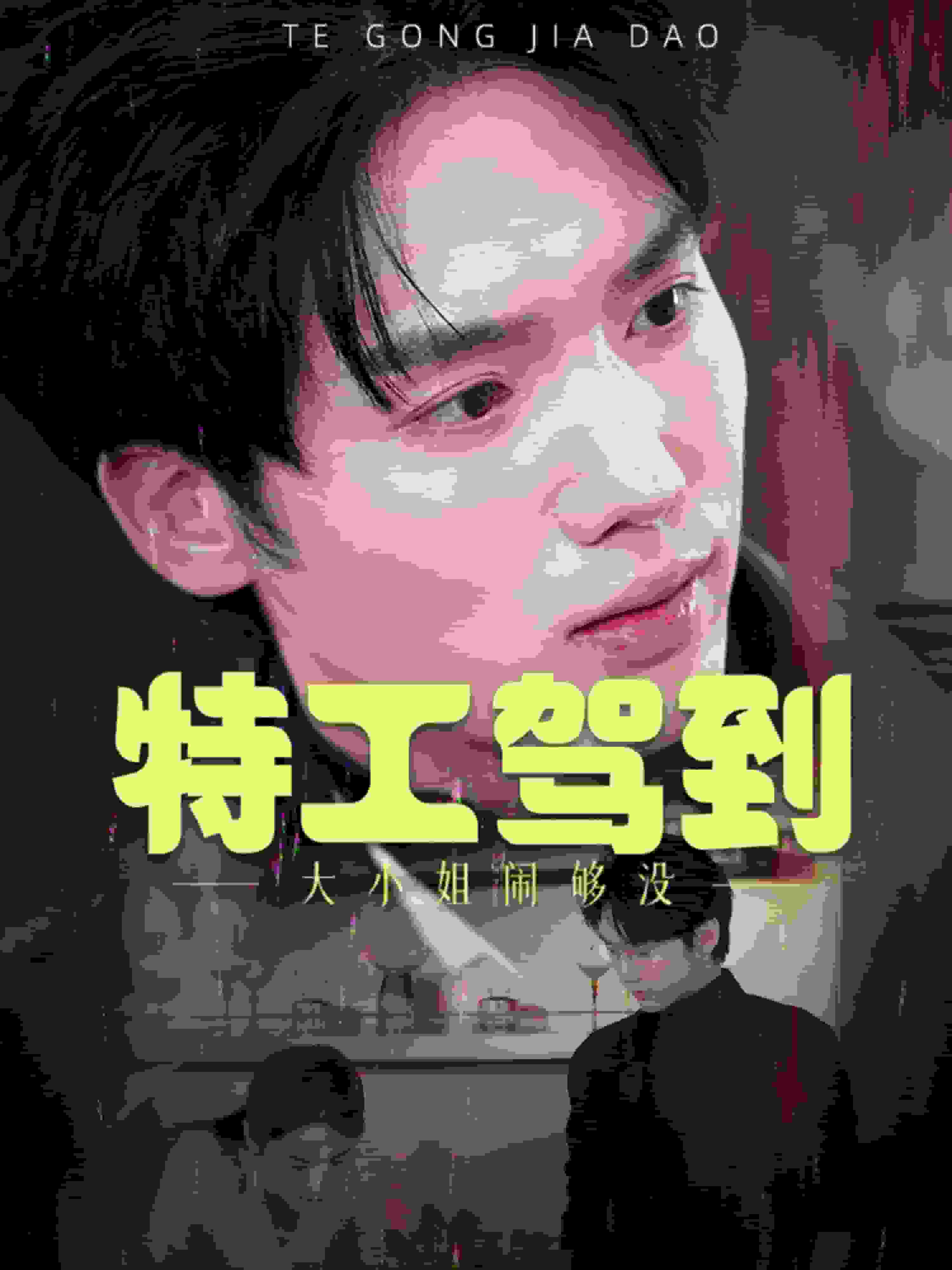 特工驾到大小姐别闹了全集