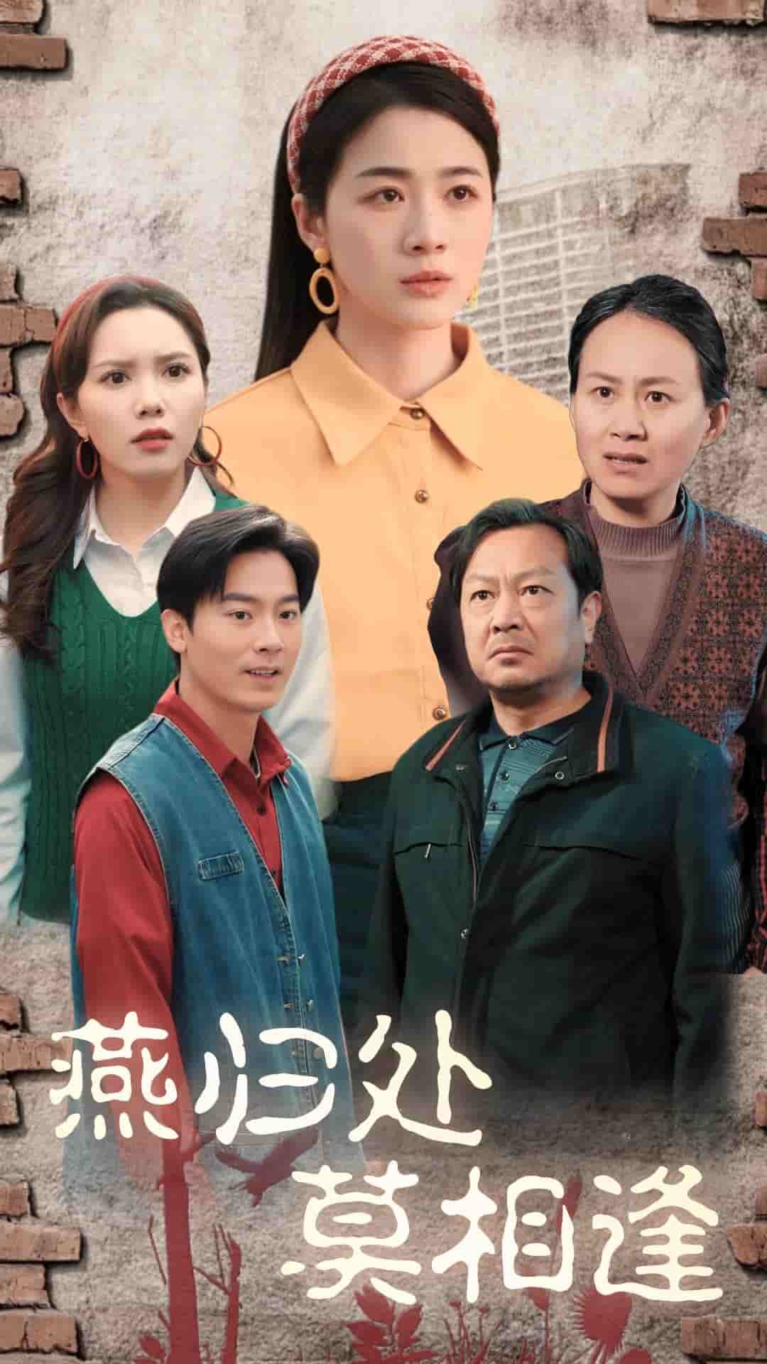 燕归处莫相逢全集