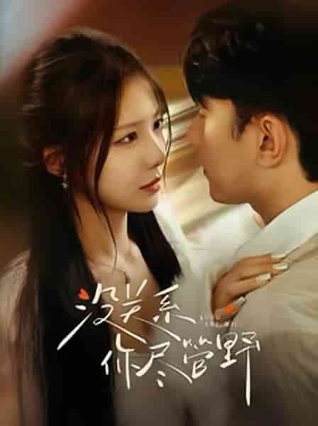 没关系你尽管野全集