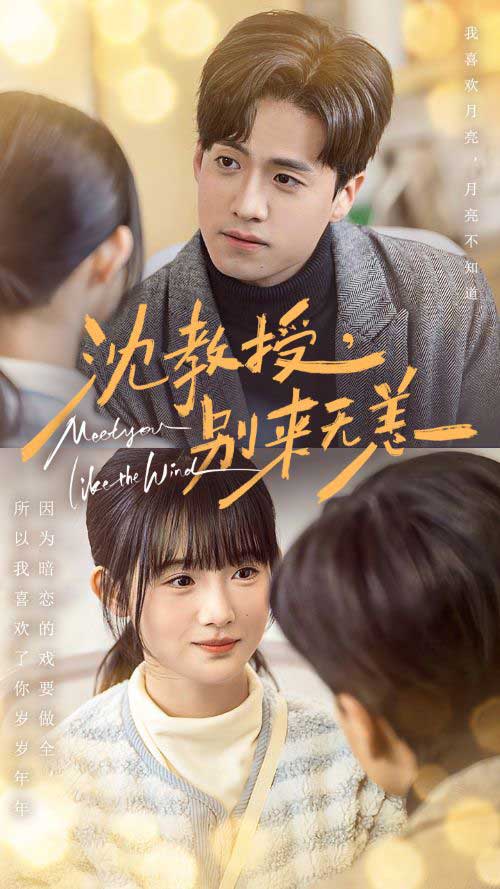 沈教授别来无恙全集