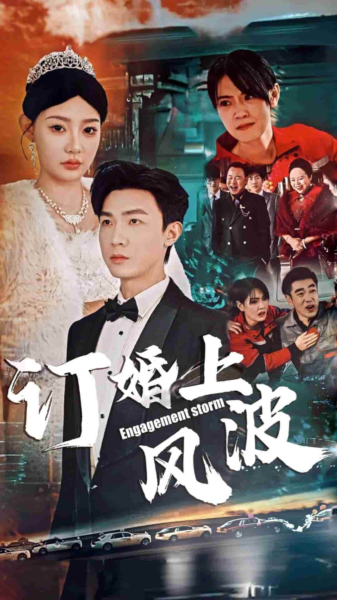 订婚上风波全集