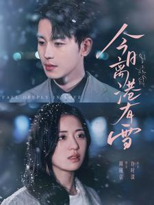 今日离港有雪全集