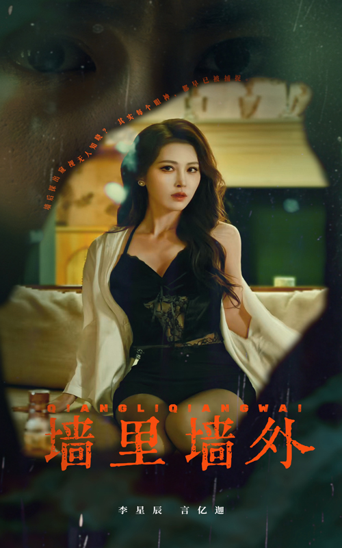 墙里墙外全集