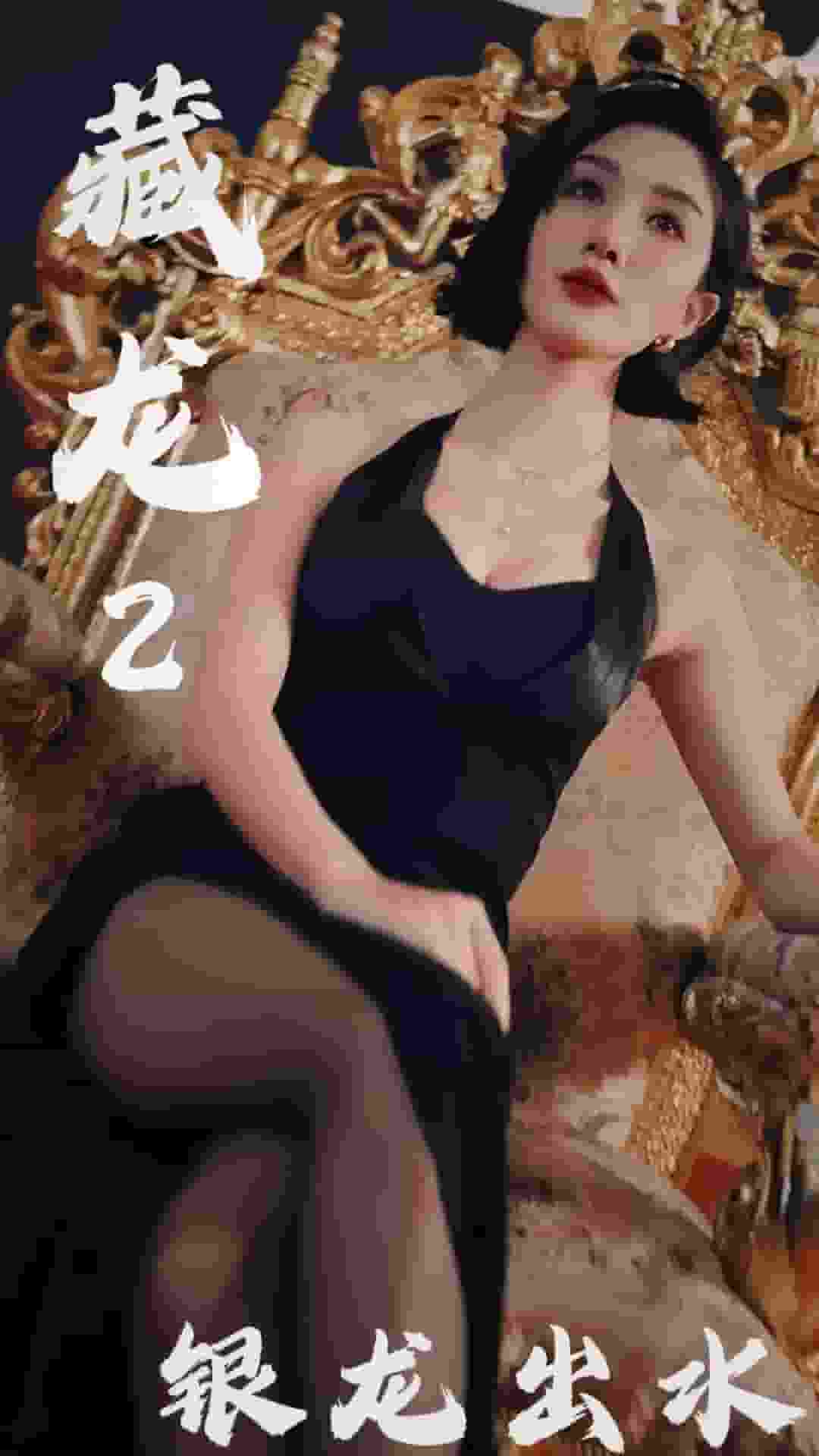 藏龙2银龙出水全集