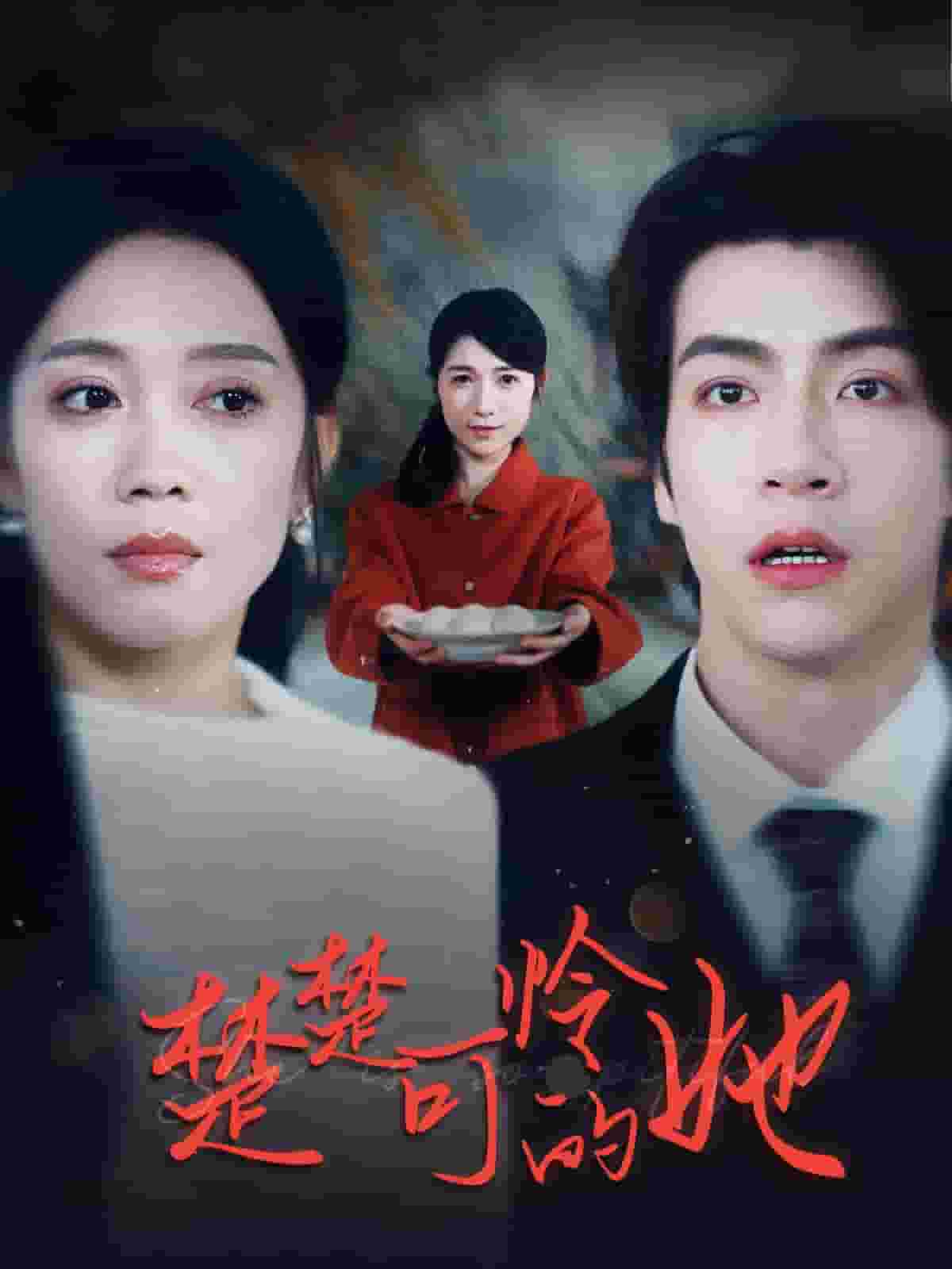 楚楚可怜的她全集