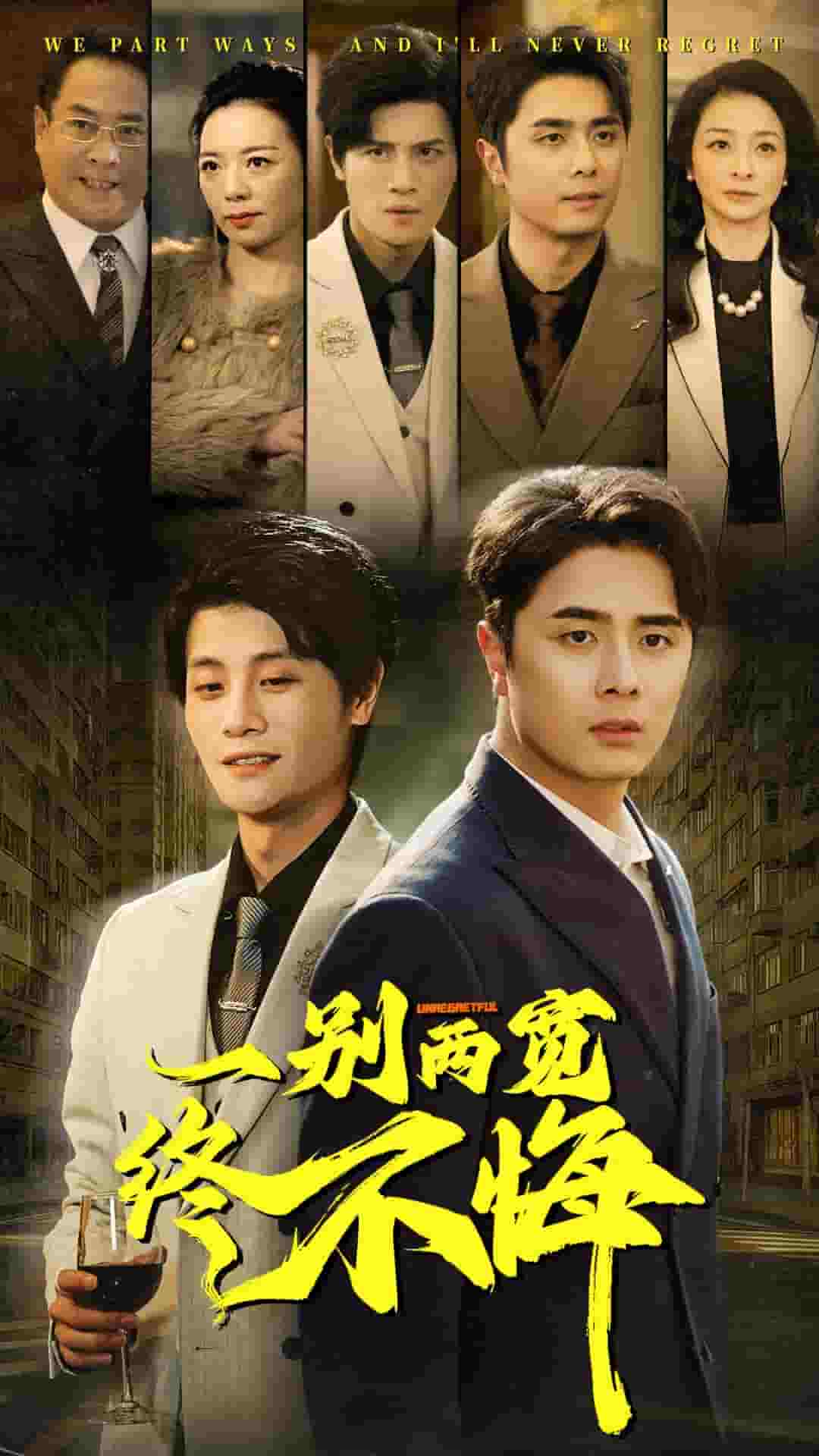 一别两宽终不悔全集