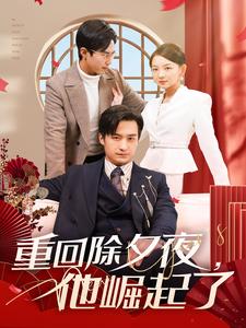 重回除夕夜他崛起了全集